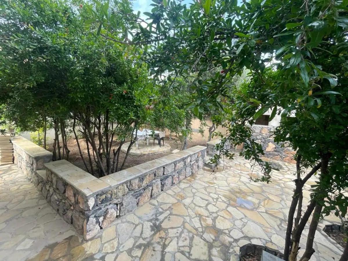 Rose Guesthouse Al 'Aqar Εξωτερικό φωτογραφία